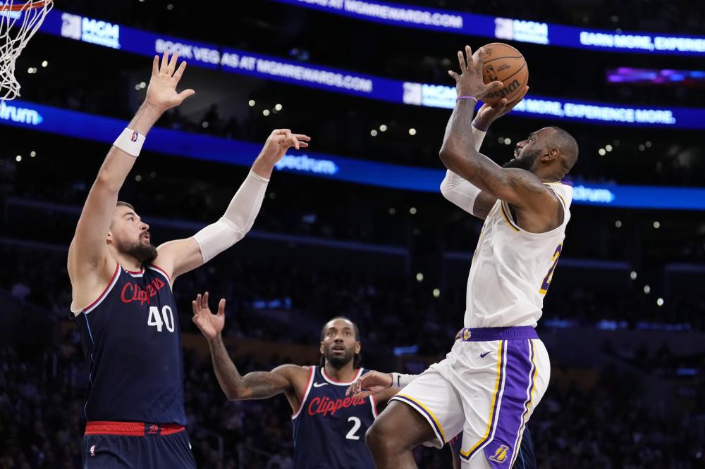 园里的明星 园里的明星